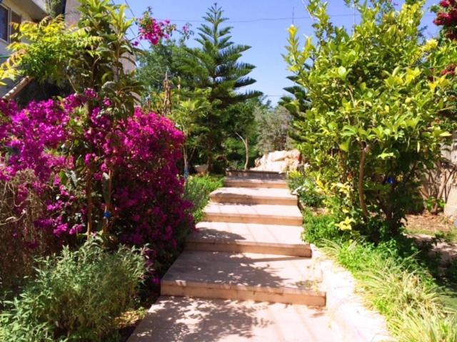 Jerusalem Hills Inn Abu Ghaush 外观 照片